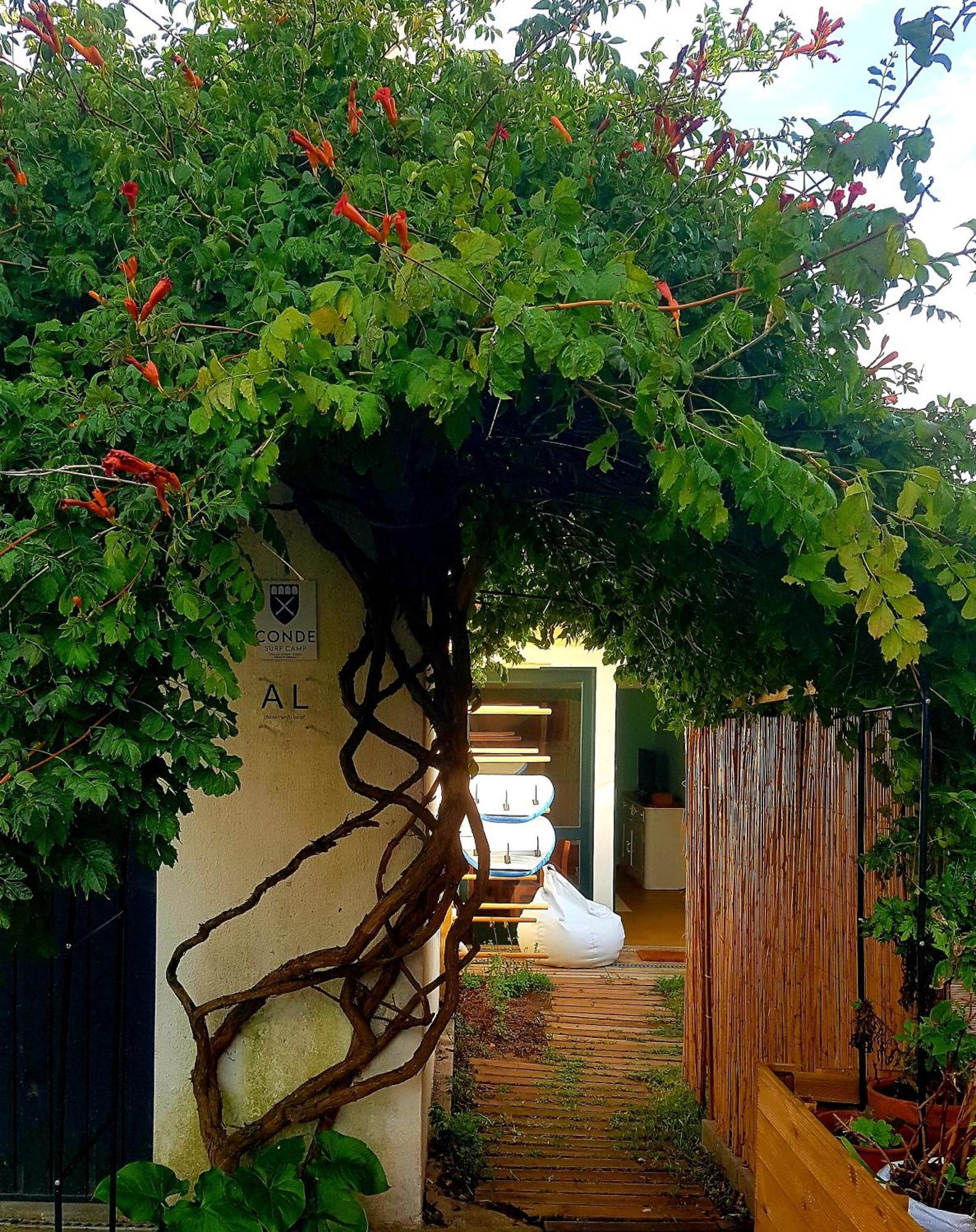 Conde Surf Camp - Junto Ao Mar - Entire Pvt House Villa Vila do Conde Dış mekan fotoğraf